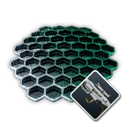 ERASER Polymer Syncytium