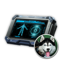 Snowy Sled Dog Code