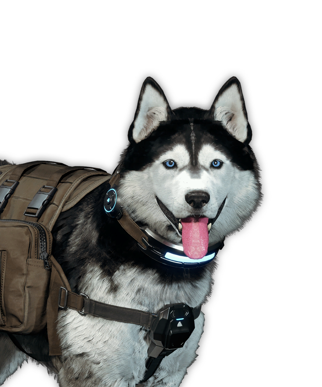 Snowy Sled Dog