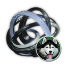Snowy Sled Dog Spiral Catalyst