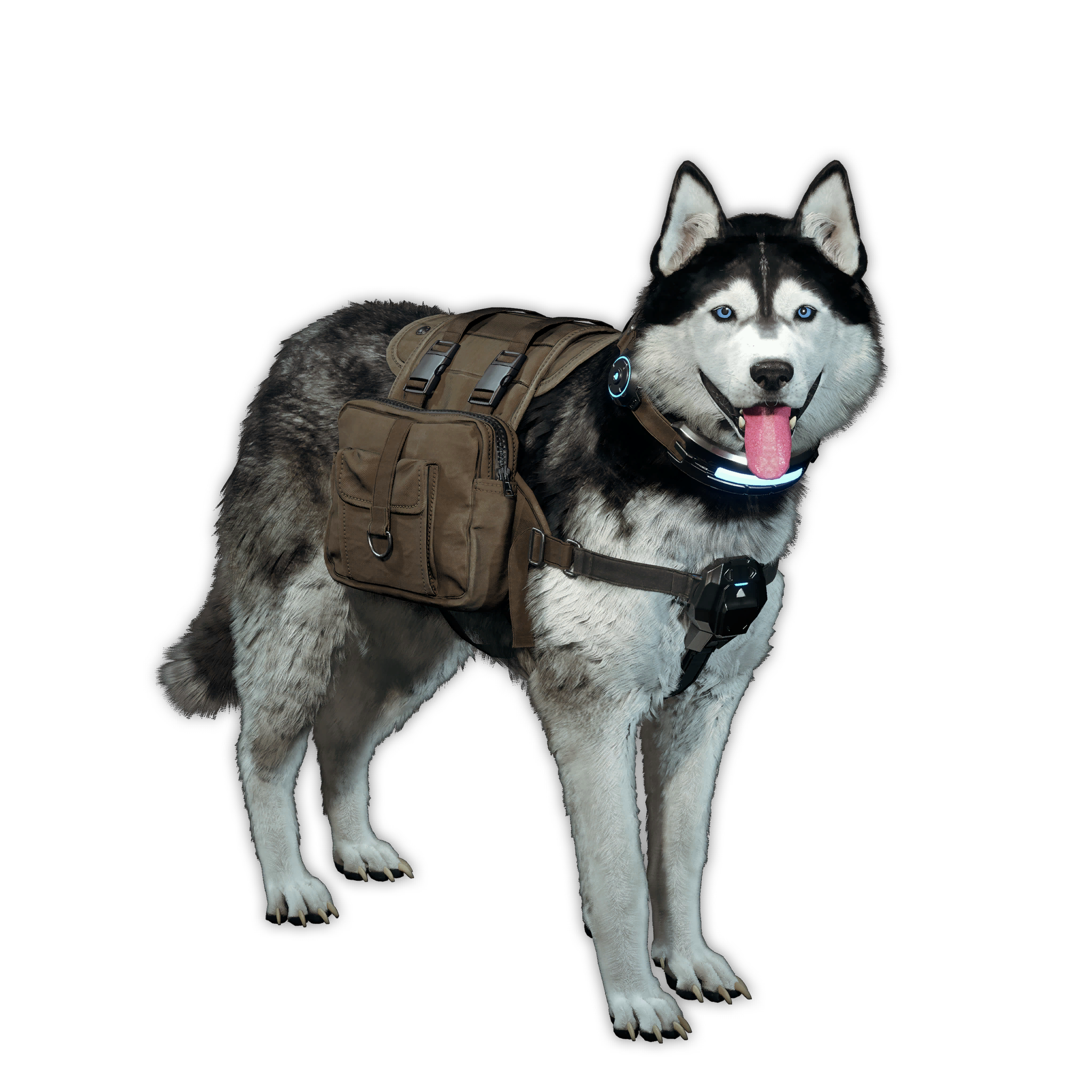 Snowy Sled Dog